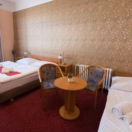 Hotel U Cerneho Orla 3*