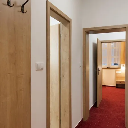 מלון U Cerneho Orla טלץ'