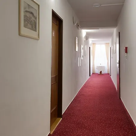 U černého Orla Hotel 3*
