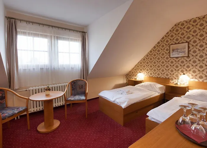 U Cerneho Orla Hotell 3*