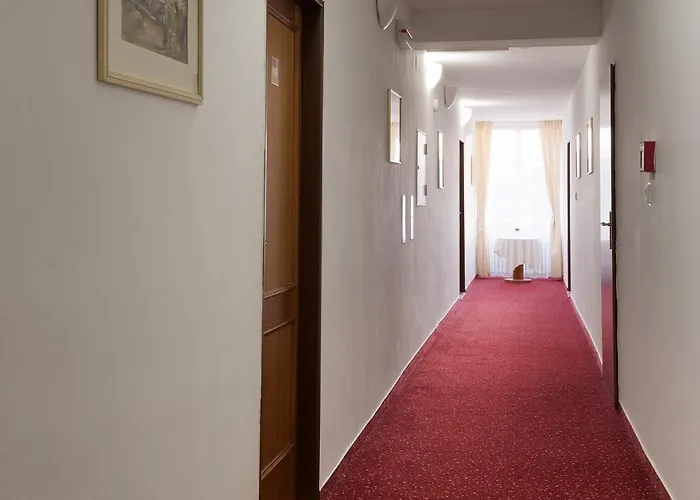 U Cerneho Orla Hotell 3*