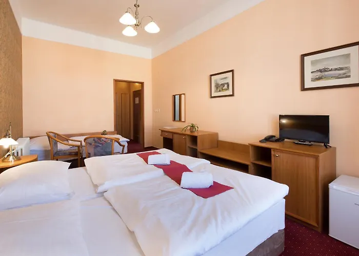 U Cerneho Orla 3* Telč