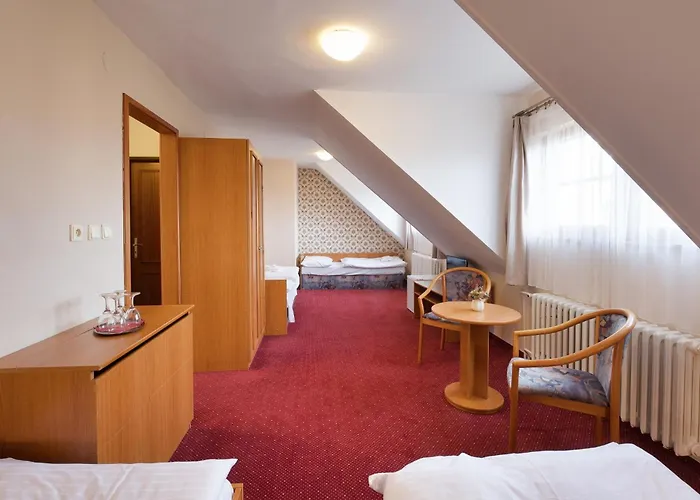 Hotell U Cerneho Orla