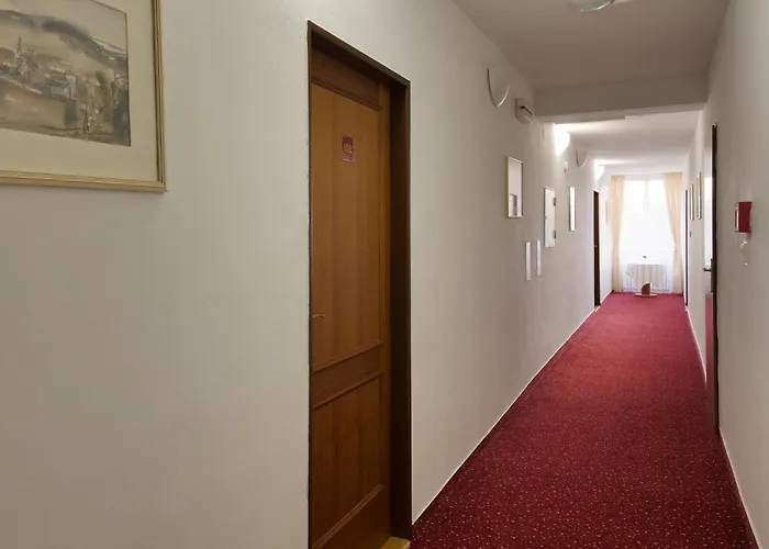 U Cerneho Orla Hotell 3*