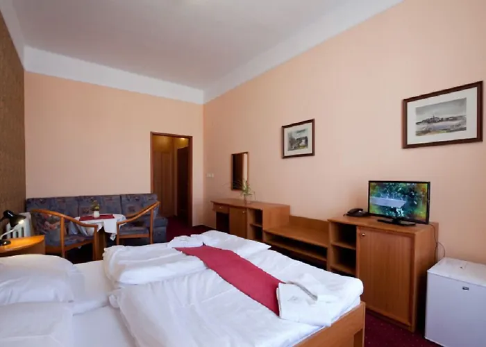 U Cerneho Orla Hotell 3*