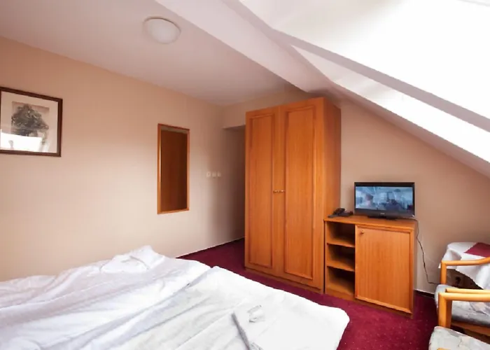 U Cerneho Orla 3* Telč